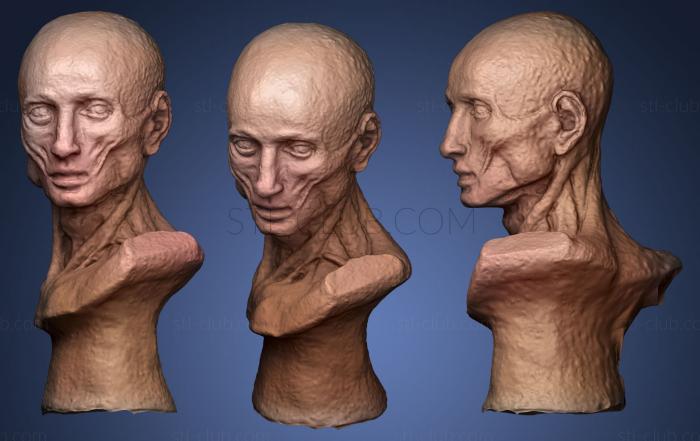 3D мадэль Статуя без кожи (STL)